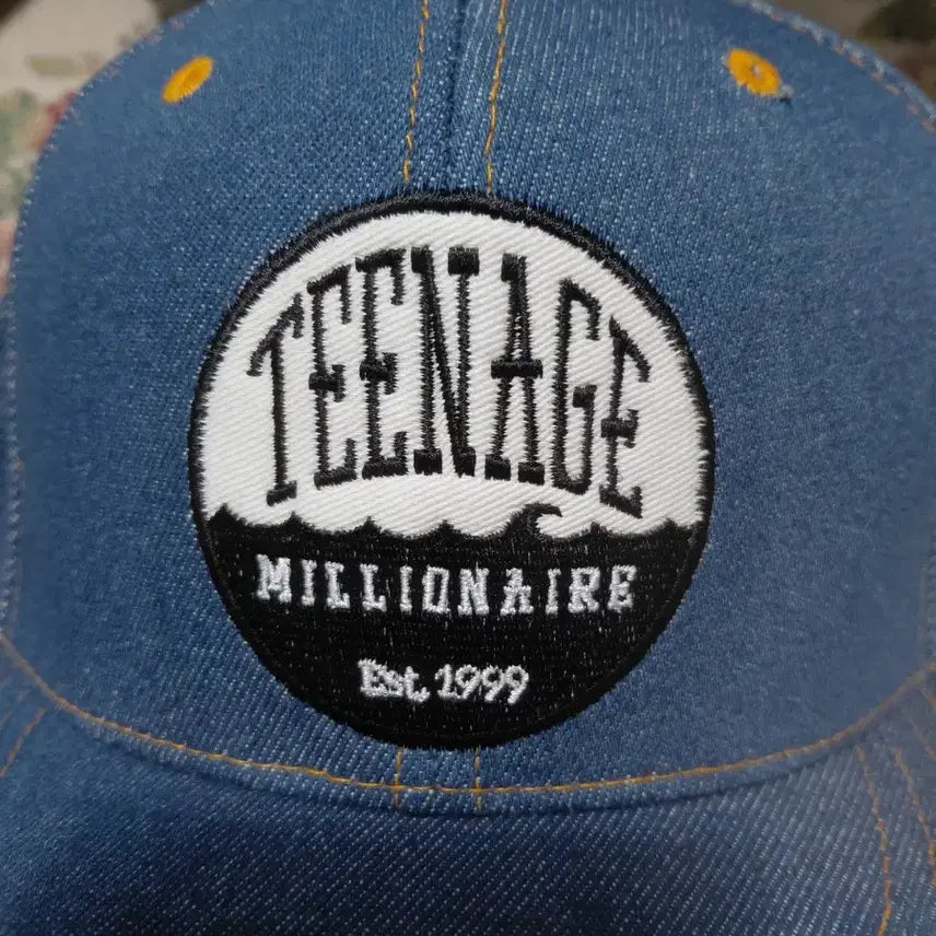 [BUNJANG] TEENAGE MILLIONAIRE Denim Baseball Cap / TEENAGE MILLIONAIRE데님 볼캡