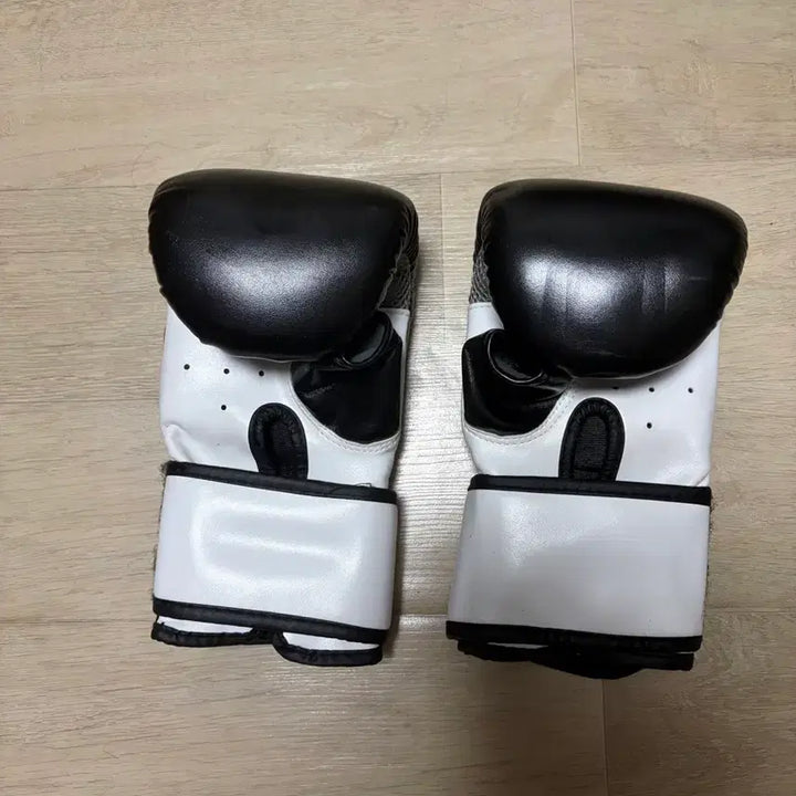 [SOLD OUT] 노바 복싱 글러브