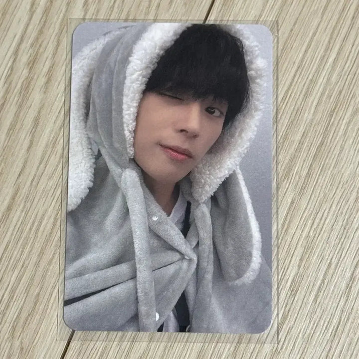 [BUNJANG] DKB D1 We Love You Malhaetjanha Everline Rabbit Blanket POB Photocard / 다크비 디원 위럽유 말했잖아 에버라인 토끼담요 버전 미공포 특전 포카