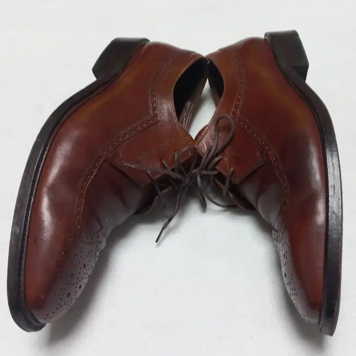 [BUNJANG] Portfolio Brown Wingtip Shoes / 포트폴리오 브라운 윙팁 구두260클래식한 디자인의 포트폴리오 남성 구두