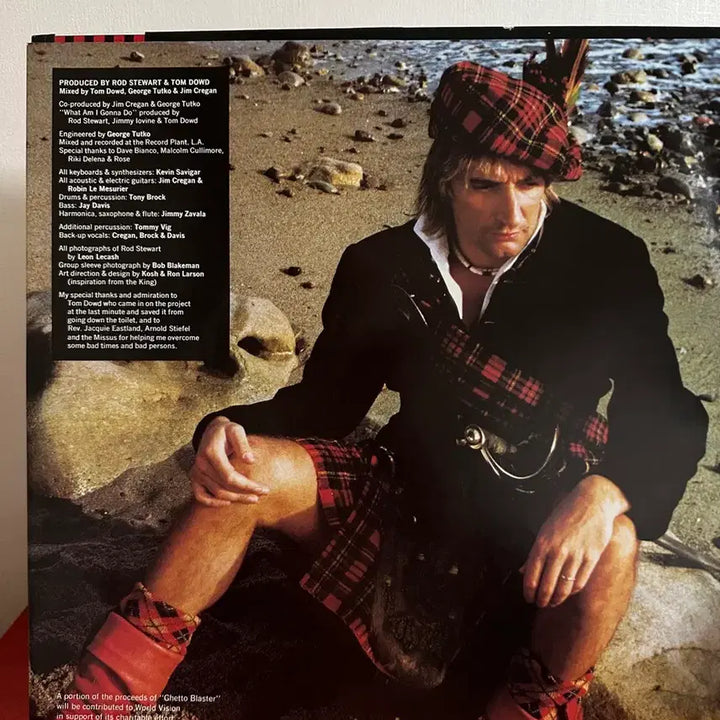 [BUNJANG] Rod Stewart 12th Regular Album LP / (로드 스튜어트 정규 12집)Rod Stewart LP