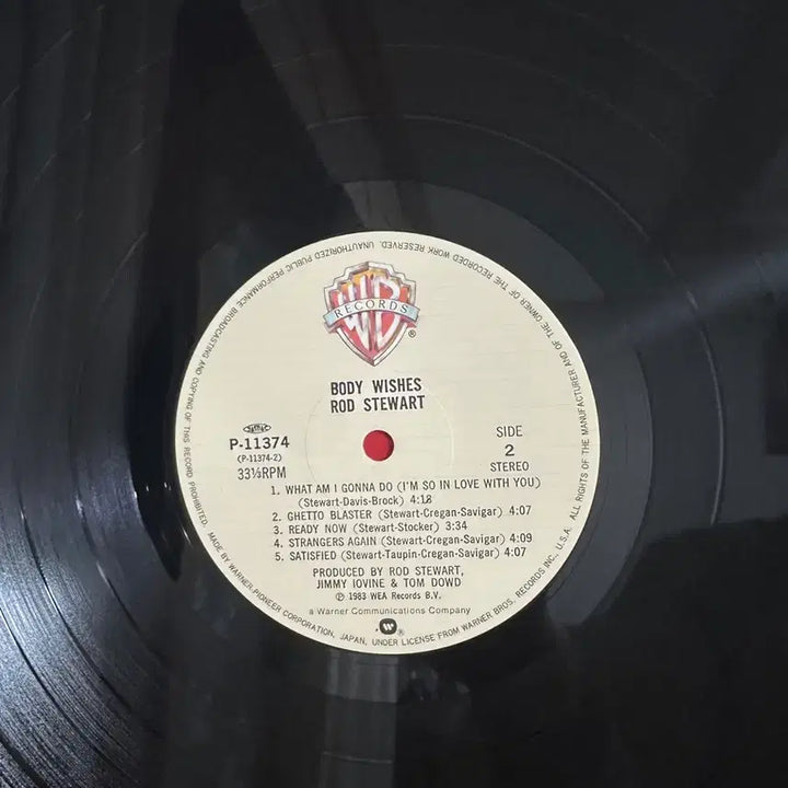 [BUNJANG] Rod Stewart 12th Regular Album LP / (로드 스튜어트 정규 12집)Rod Stewart LP