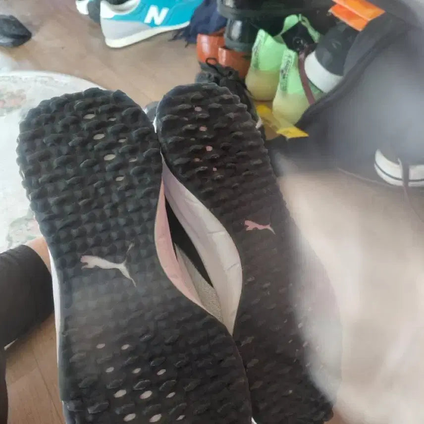 [BUNJANG] Puma Shoes / 푸마신발