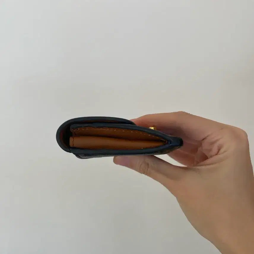 [BUNJANG] Celine Triomphe Flap Card Wallet / 셀린느 트리옹프 플랩 카드 지갑