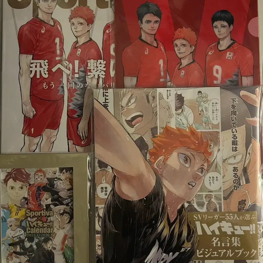 [BUNJANG] Haikyu Sportiva Magazine Bundle Set / 하이큐 sportiva 잡지 2권+잡지부록 일괄
