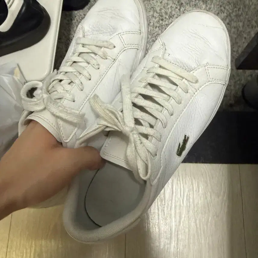 [BUNJANG] Lacoste White Sneakers / 라코스테 흰색 단화