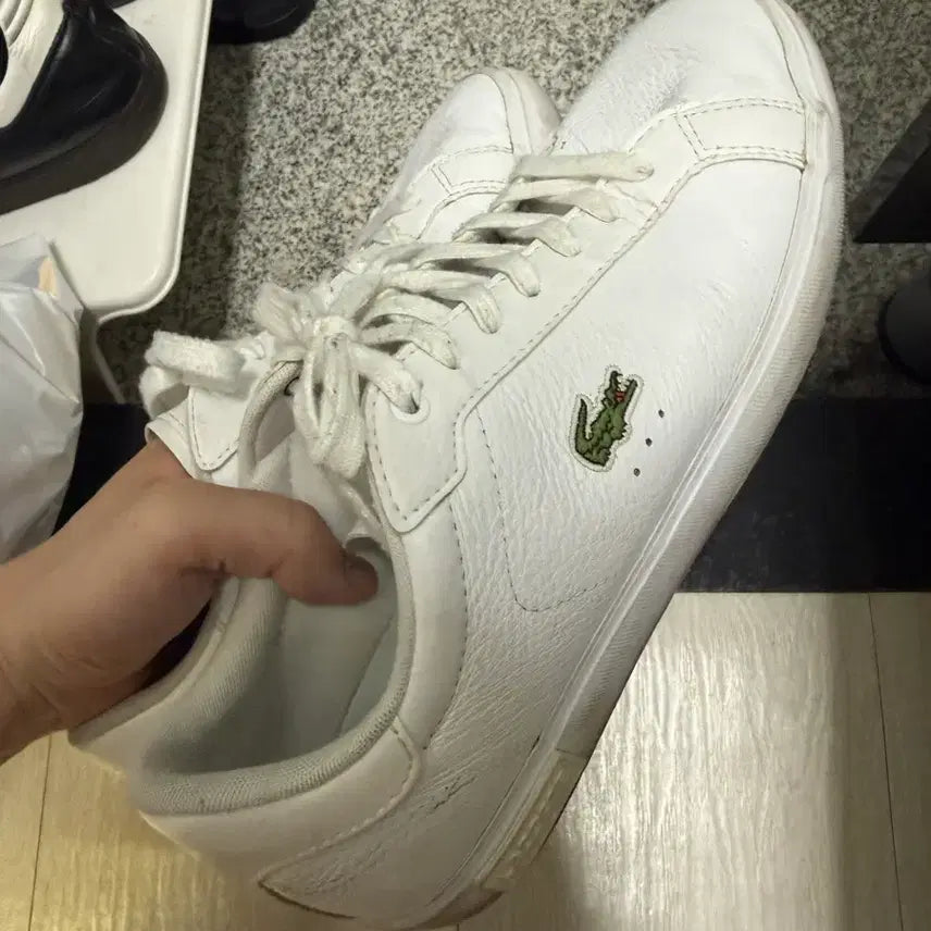 [BUNJANG] Lacoste White Sneakers / 라코스테 흰색 단화