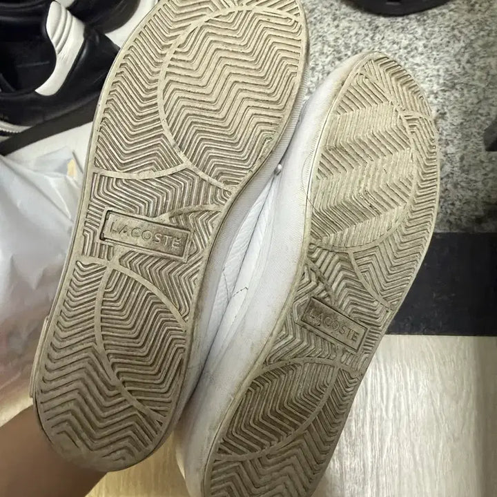 [BUNJANG] Lacoste White Sneakers / 라코스테 흰색 단화