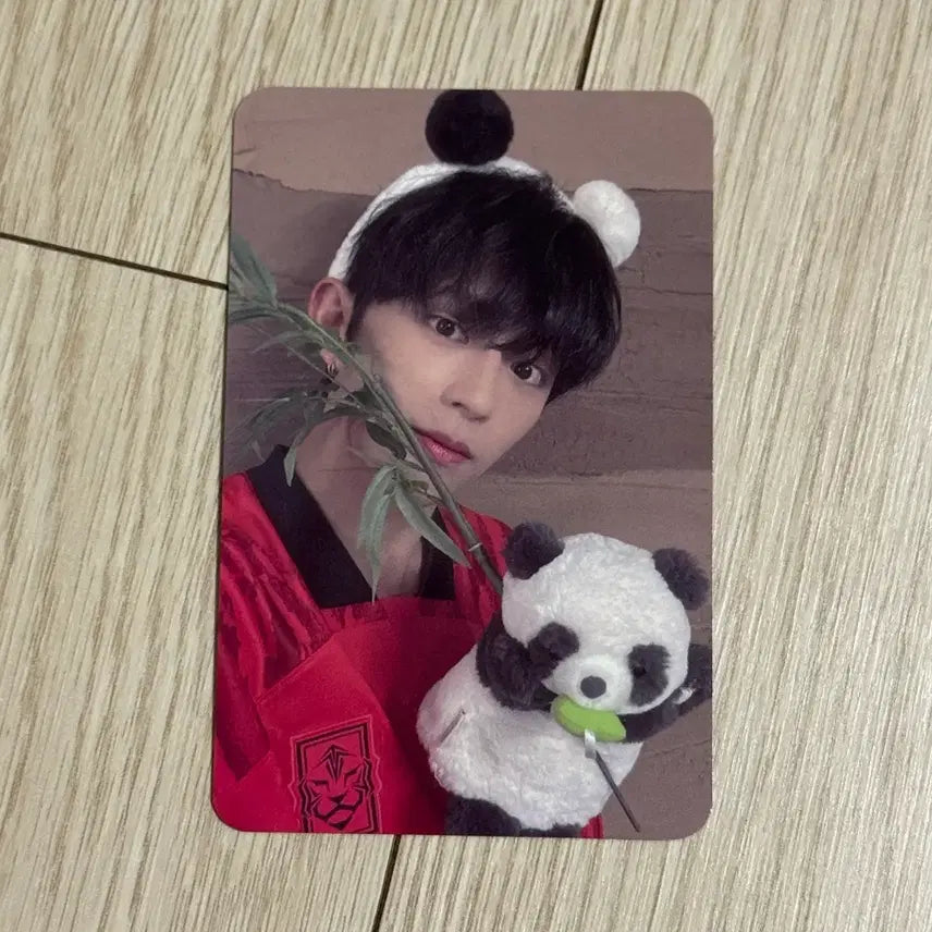 [BUNJANG] DKB D1 Ahn Y-love Beat Road PANDA Version POB Photocard / 다크비 디원 아닛럽 비트로드 양면 판다 버전 미공포 특전 포카