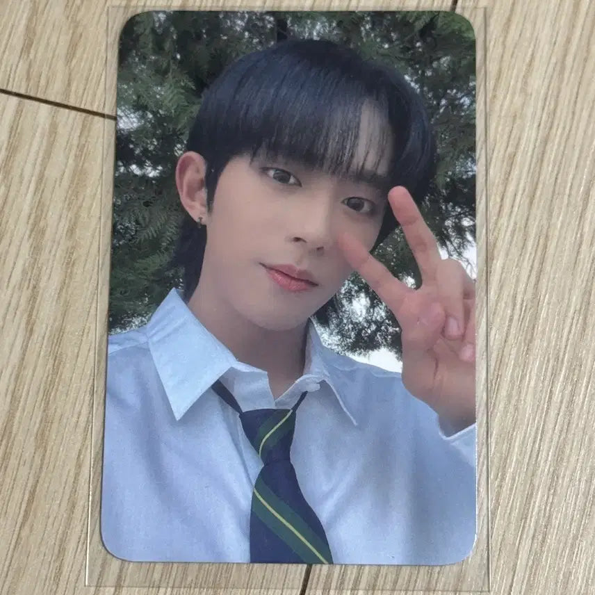 [BUNJANG] DKB D1 Ah-nne-love Everline POB Photocard / 다크비 디원 아닛럽 에버라인 미공포 특전 포카