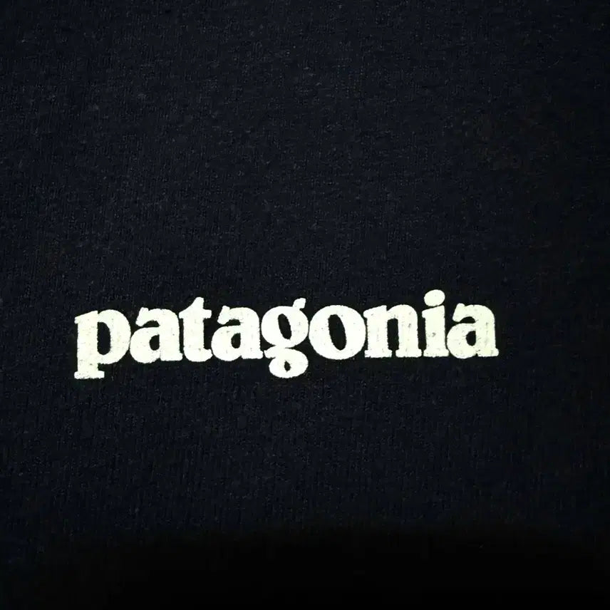 [BUNJANG] Patagonia Big Logo T-shirt Navy / [M,95]파타고니아 빅로고 반팔티 곤색