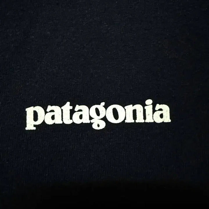 [BUNJANG] Patagonia Big Logo T-shirt Navy / [M,95]파타고니아 빅로고 반팔티 곤색