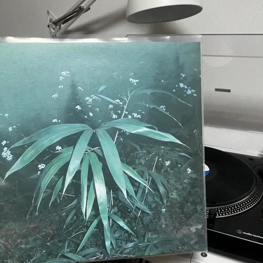 [BUNJANG] Shin Hae Gyeong LP Vinyl Record / 신해경 lp