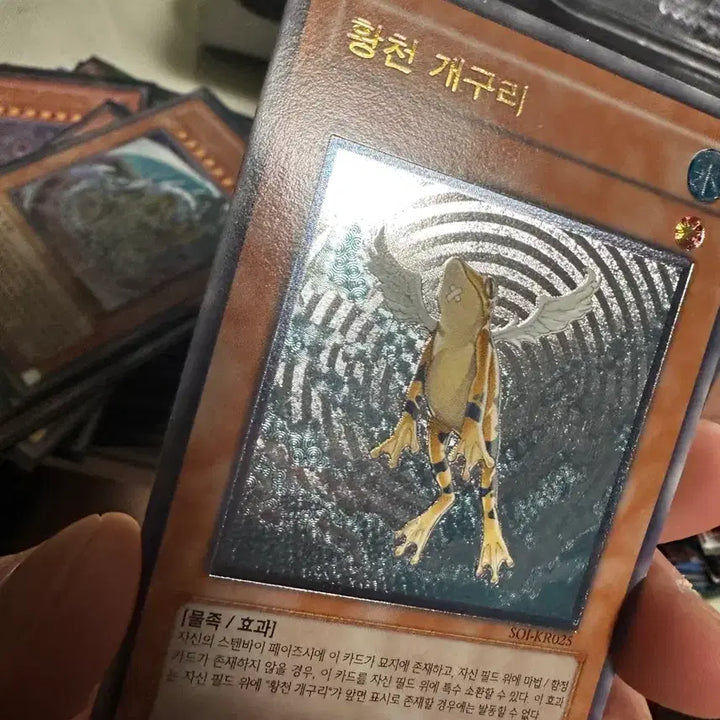 [BUNJANG] Yu-Gi-Oh! DM GX Card Bundle Set / 유희왕 dm gx 카드 대량 급처 (일괄, 네고가능)