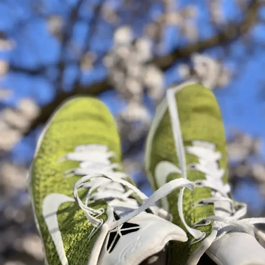 [BUNJANG] Nike Basketball Shoes Collection / 농구화 판매 교신받음 마인드 001 교신