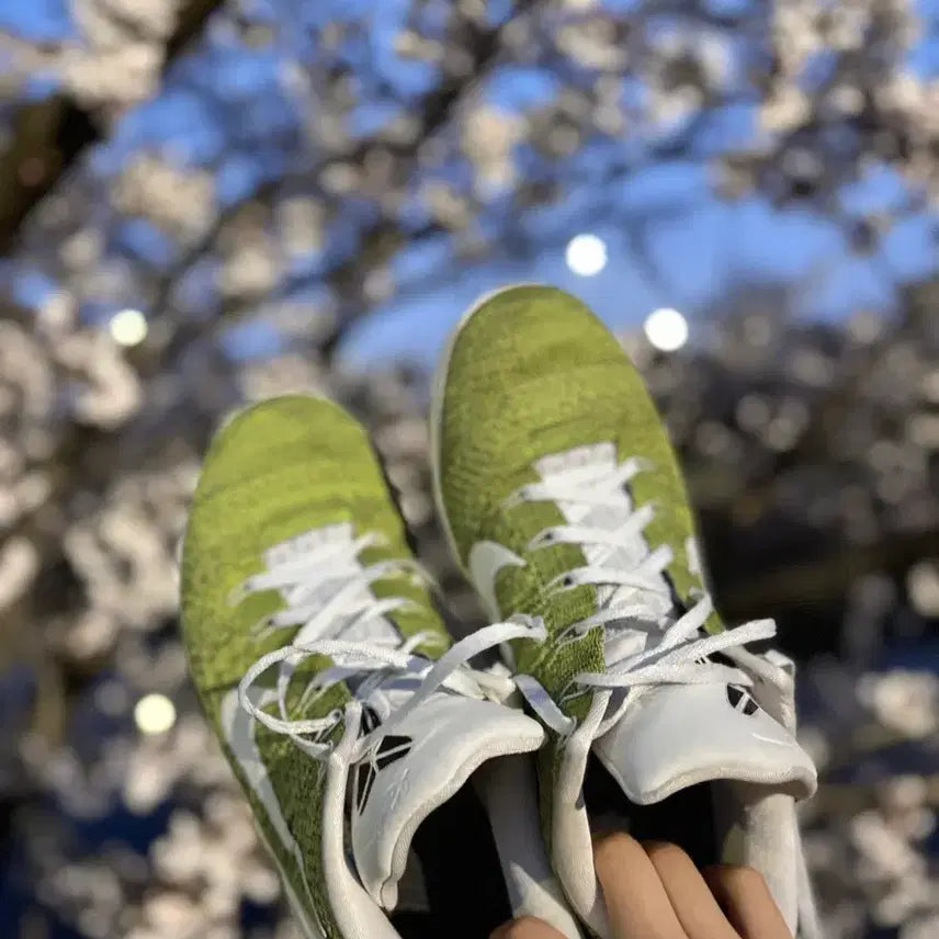 [BUNJANG] Nike Basketball Shoes Collection / 농구화 판매 교신받음 마인드 001 교신