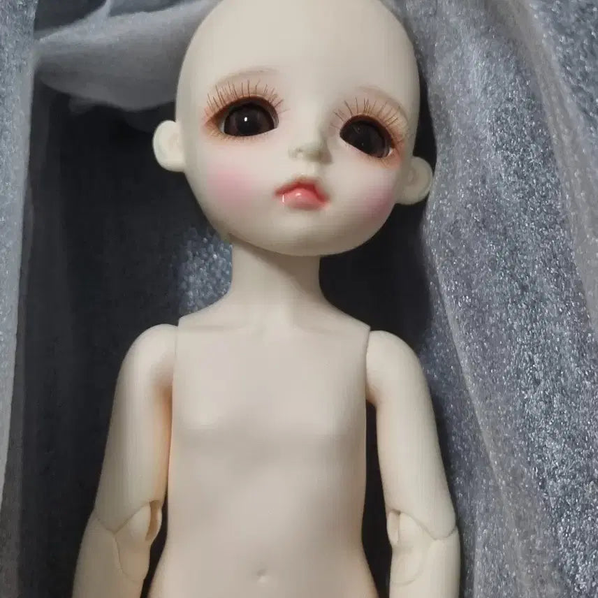 [SOLD OUT] 리나슈슈 데이지 구체관절인형