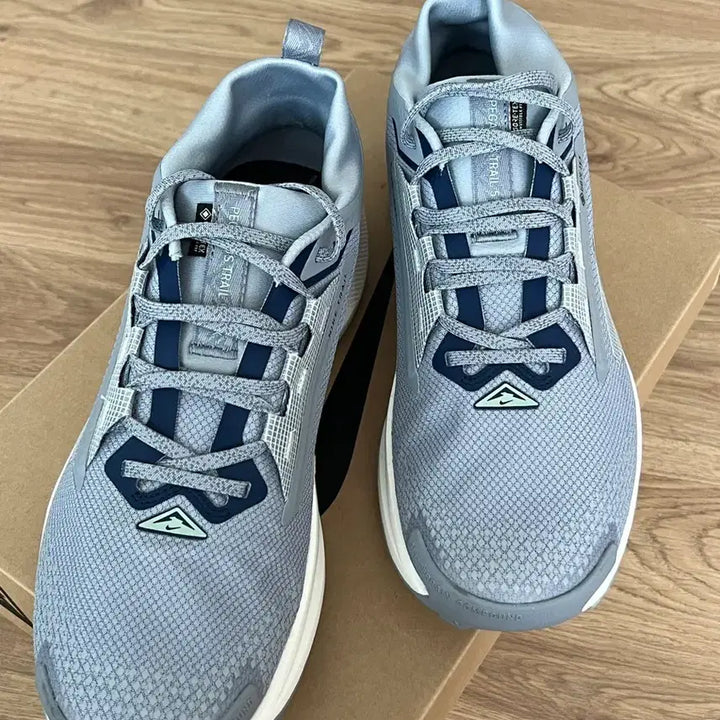[BUNJANG] Nike Pegasus Trail 5 GTX (285mm) Running Shoes / 나이키 페가수스 트레일 5 GTX (285mm)