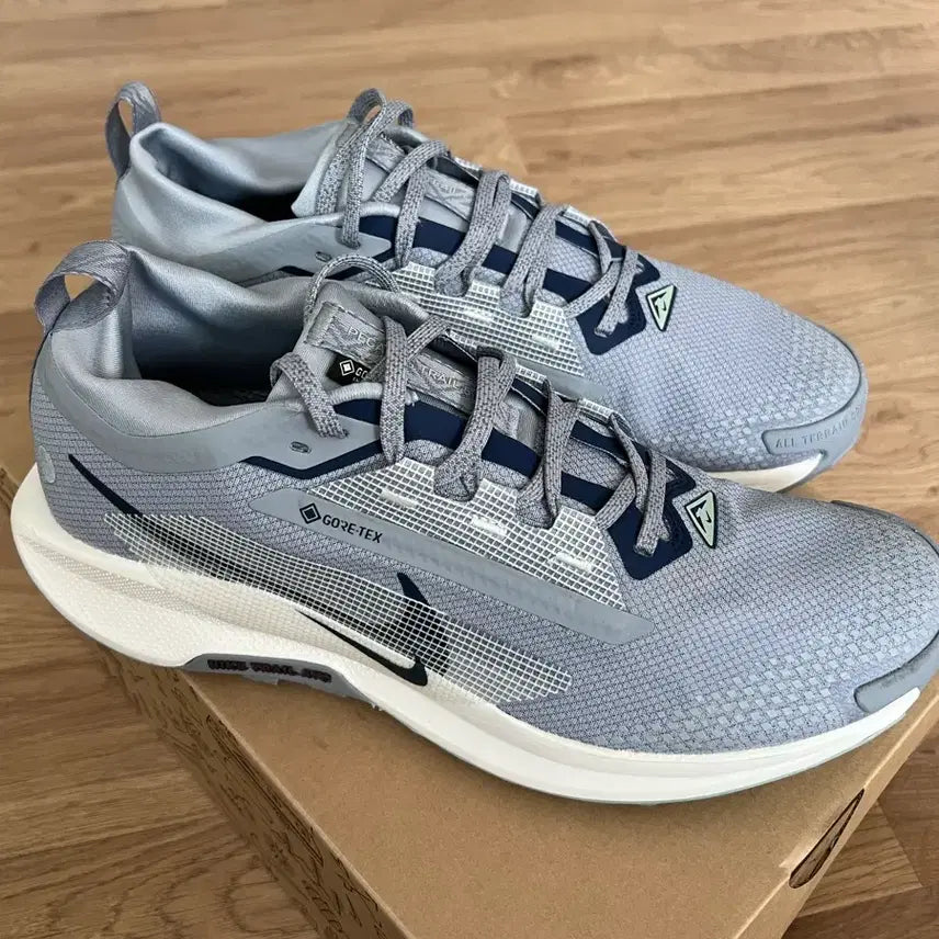 [BUNJANG] Nike Pegasus Trail 5 GTX (285mm) Running Shoes / 나이키 페가수스 트레일 5 GTX (285mm)