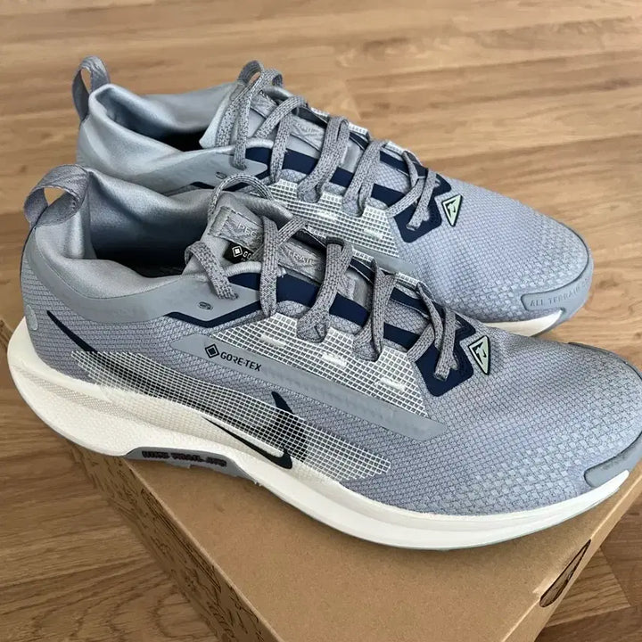 [BUNJANG] Nike Pegasus Trail 5 GTX (285mm) Running Shoes / 나이키 페가수스 트레일 5 GTX (285mm)