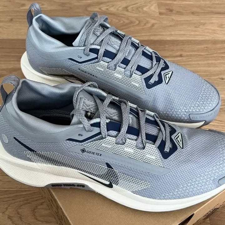[BUNJANG] Nike Pegasus Trail 5 GTX (285mm) Running Shoes / 나이키 페가수스 트레일 5 GTX (285mm)