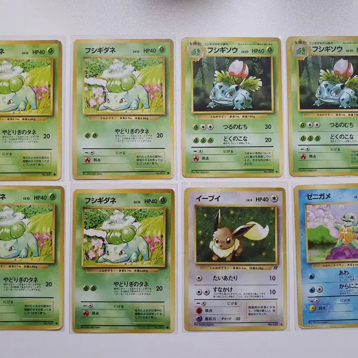 [BUNJANG] Pokemon 1996 Charizard Blastoise Venusaur Eevee Japanese First Edition Card / (이벤트)포켓몬카드 1996 리자몽 거북왕 이상해꽃 이브이 초판 일본판
