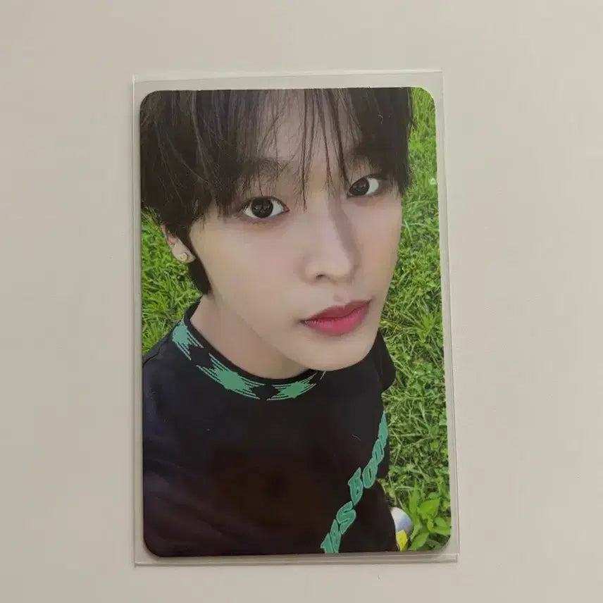 [SOLD OUT] nct wish 엔시티위시 리쿠 렛츠고스테디 포카