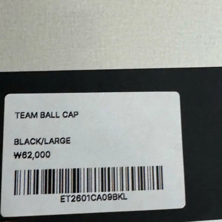 [SOLD OUT] (라지/L) Etce Team ball cap 팀 볼캡