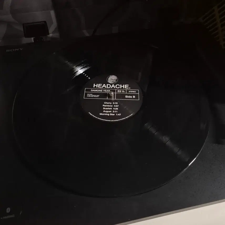 [BUNJANG] The Dayumns Year Signed LP (Black) / 데이먼스이어 친필사인 lp(블랙반)