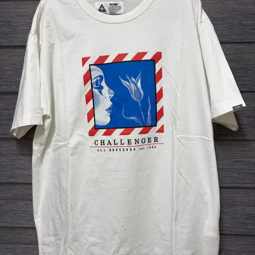 [BUNJANG] Challenger Down Hill T-Shirt / xxl) challenger 챌린저 챌린져 down hill 반필 티셔츠