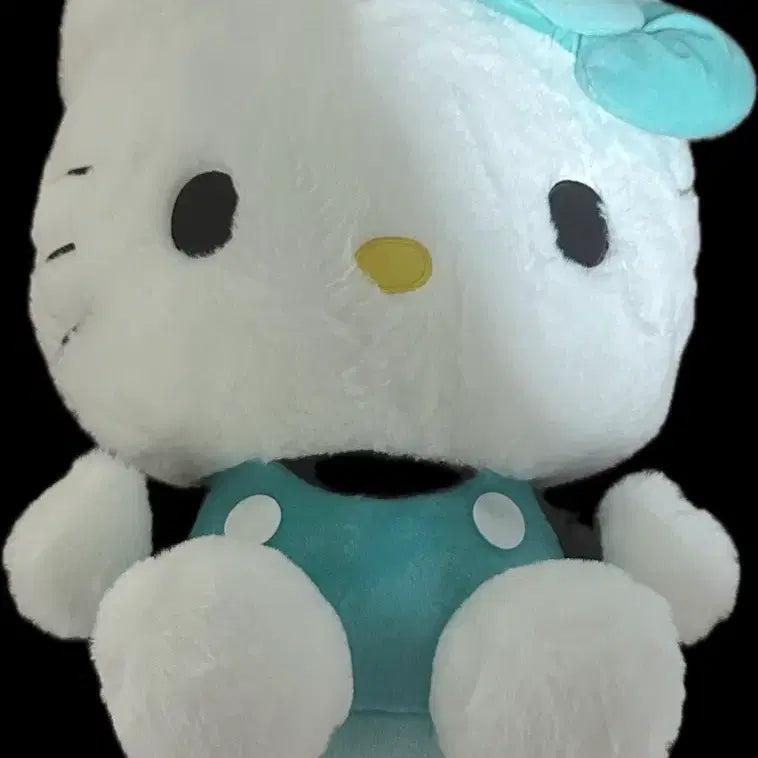 [BUNJANG] Hello Kitty Giant Mint Kitty Plush / 헬로키티 대왕 민트 키티