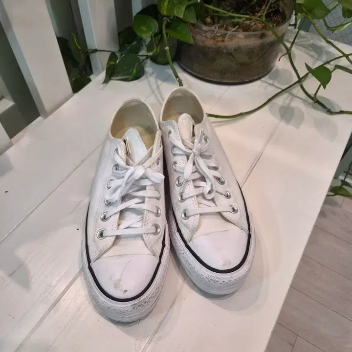 [BUNJANG] Converse Canvas White Sneakers / 컨버스 캔버스화 흰색 운동화