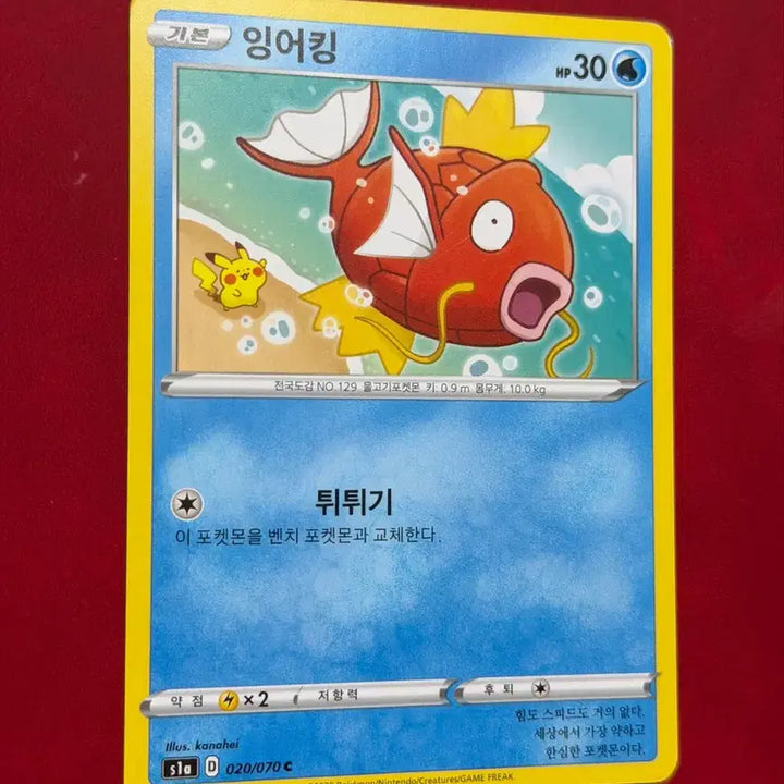 [SOLD OUT] 포켓몬 카드 카나헤이 잉어킹(feat 피카츄)