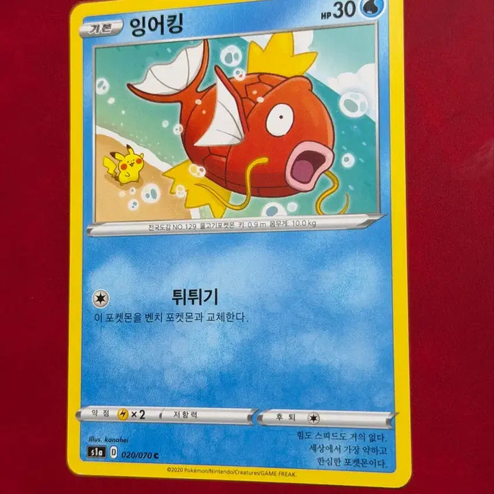 [SOLD OUT] 포켓몬 카드 카나헤이 잉어킹(feat 피카츄)