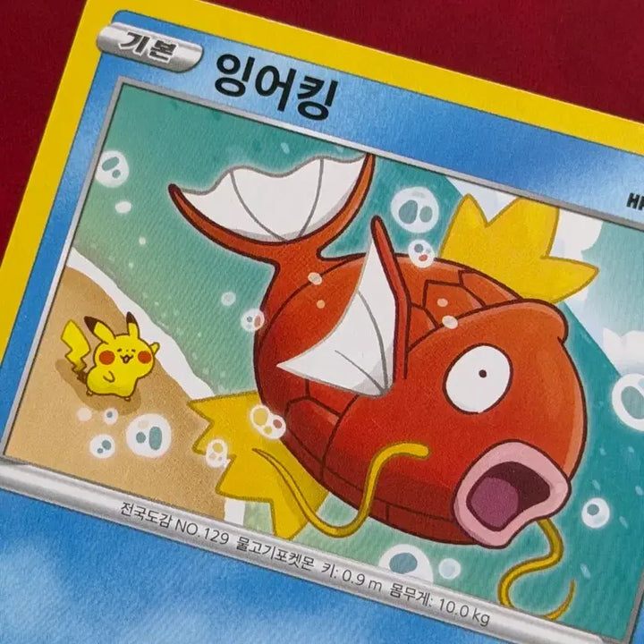 [SOLD OUT] 포켓몬 카드 카나헤이 잉어킹(feat 피카츄)
