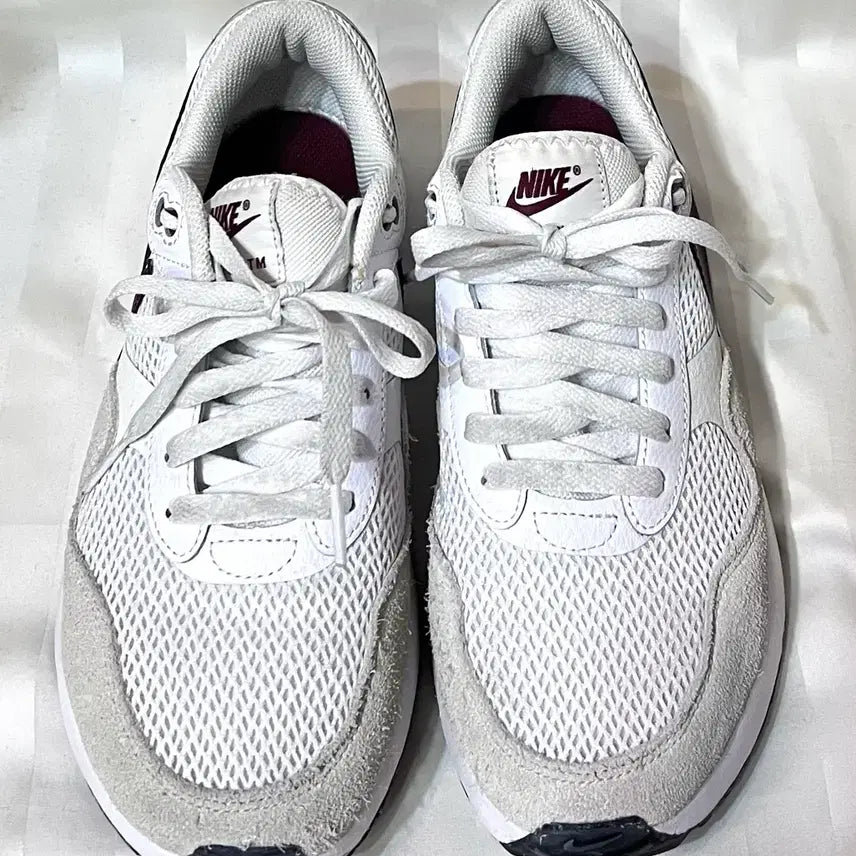 [BUNJANG] Nike Air Max Special Edition Sneakers / (245사이즈) 나이키 에어맥스 스페셜 에디션 실내착용 거의새것