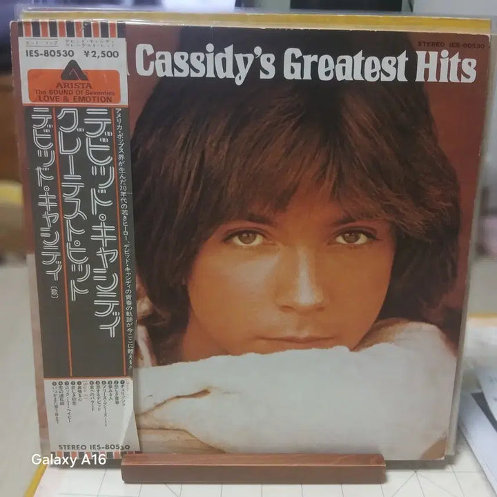 [BUNJANG] David Cassidy Greatest Hits LP Album / 데이비드 캐시디 Greatest Hits LP 일본 음반