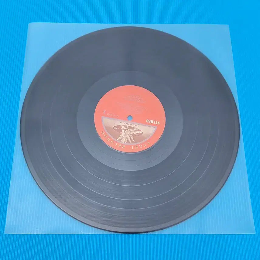 [BUNJANG] Heiden Inner Sleeves for LP Vinyl Records (100 Pack) / LP비닐 속비닐 100장 레코드 정전기 방지 레코드판 엘피판 하이덴 속지