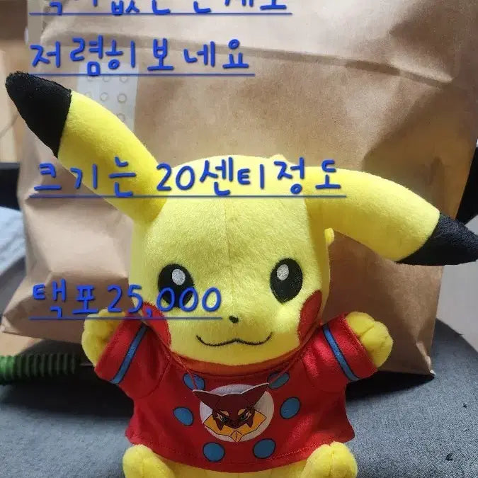[BUNJANG] Pikachu Rare Plush Doll / 희귀피카츄