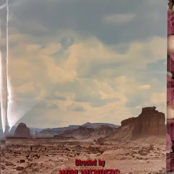 [BUNJANG] Paris, Texas Movie Poster Set / 파리,텍사스 포스터 5종 미개봉