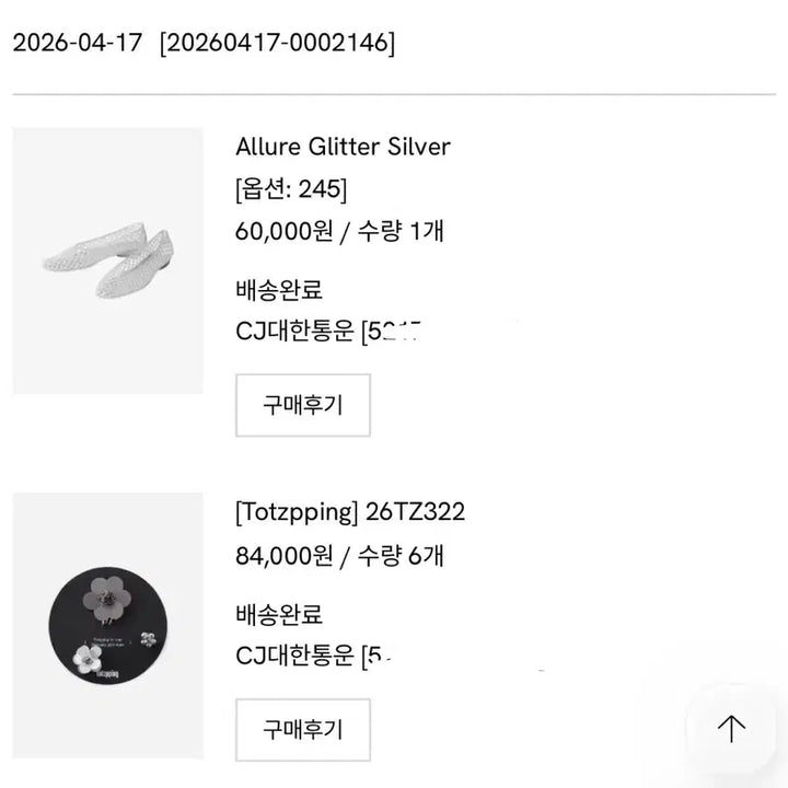 [BUNJANG] Heavenly Jelly Shoes Silver + Tots Ping Set / 헤븐리 젤리슈즈 실버 + 토츠핑6set