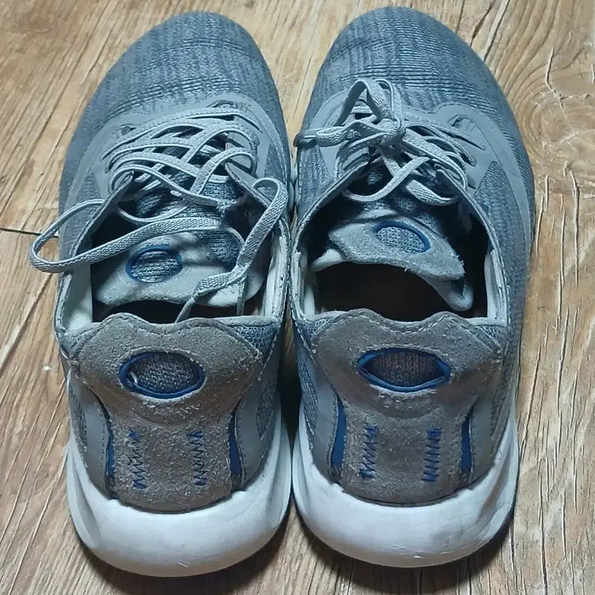 [BUNJANG] GIOX Respira Gray Sneakers 260mm / 지오엑스 레스피라 그레이 운동화 260mm