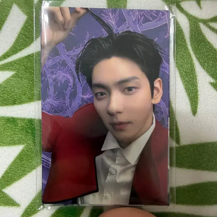 [BUNJANG] TXT (Tomorrow X Together) Music Show Reverse Support Photocard 5-Member Set / 투바투txt 음중 사녹 공방 역조공 포카 수빈 연준 범규 태현 휴닝 세트