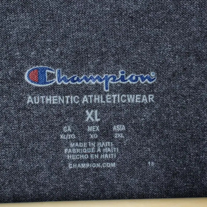 [BUNJANG] Champion Oversized Gray T-shirt / (XL-2XL) 챔피온 반팔 티셔츠 빅사이즈 그레이 올드스쿨-1856F