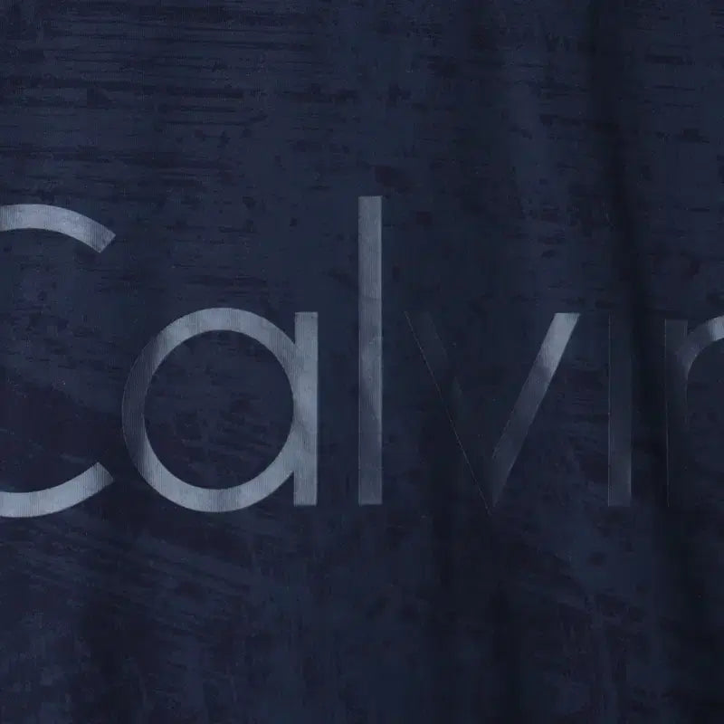 [BUNJANG] Calvin Klein Big Logo Navy Pattern T-shirt / (L-XL) 캘빈클라인 반팔 티셔츠 빅로고 네이비 패턴-18573
