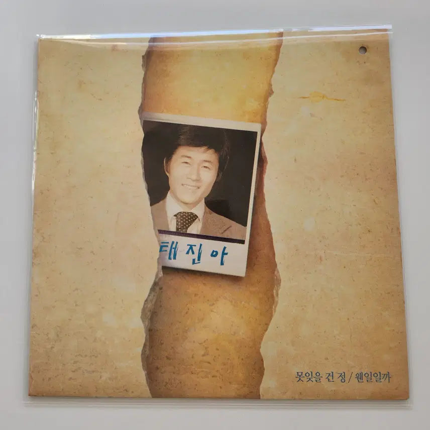 [BUNJANG] Tae Jin-ah LP / 태진아 LP / NM