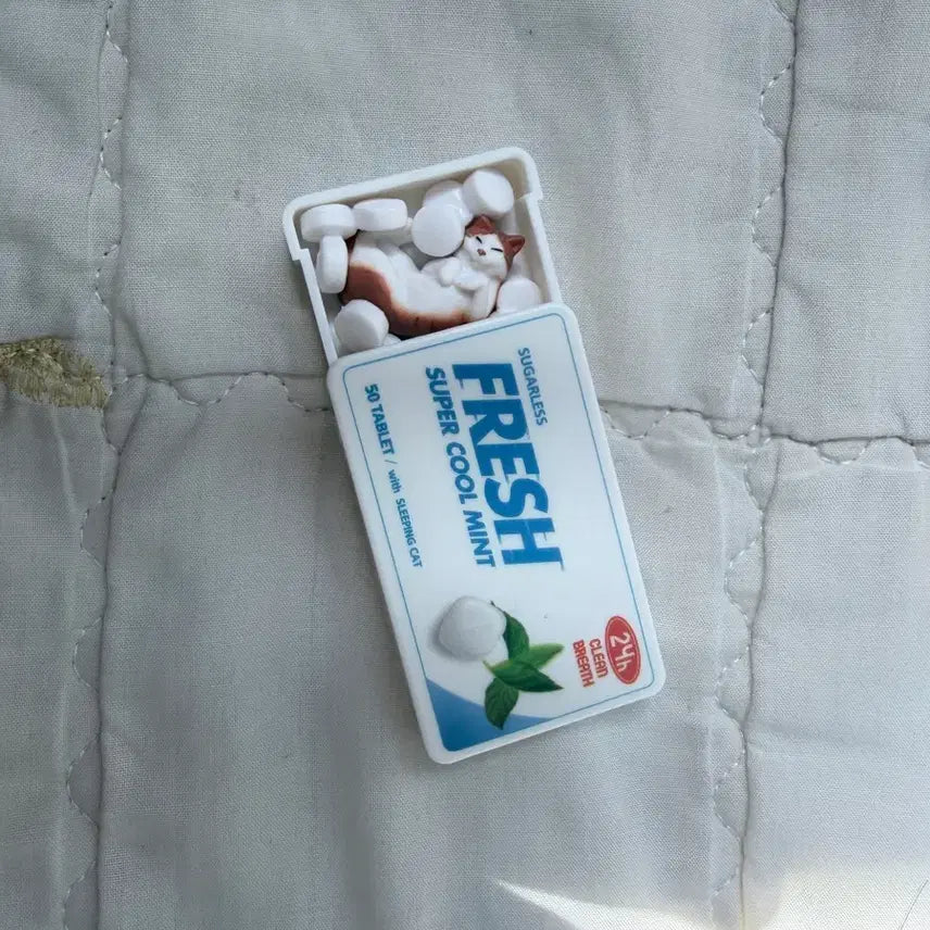 [BUNJANG] Cat Gachapon Unsealed Item / 고양이 가챠(개봉함)