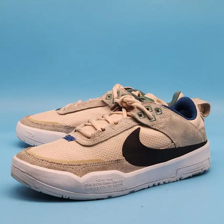[BUNJANG] Nike SB Day One Sneakers 245 / ooo 나이키 SB 데이원 운동화 245