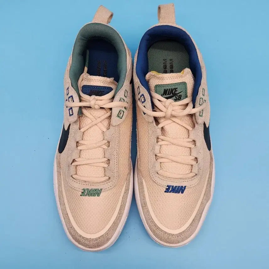 [BUNJANG] Nike SB Day One Sneakers 245 / ooo 나이키 SB 데이원 운동화 245