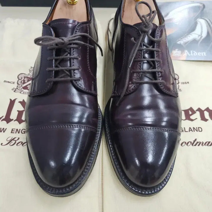 [BUNJANG] Alden 2160 7D Shell Cordovan 